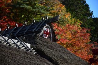 「スイスへまた行きたい」さんからの投稿写真