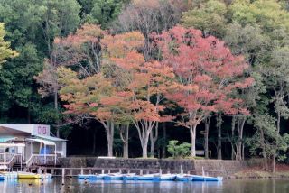 「栃木の山ちゃん」さんからの投稿写真