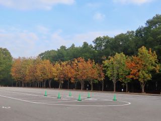 「栃木の山ちゃん」さんからの投稿写真