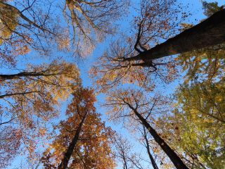 「栃木の山ちゃん」さんからの投稿写真