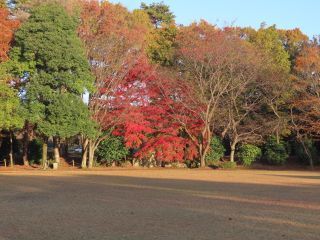 「栃木の山ちゃん」さんからの投稿写真