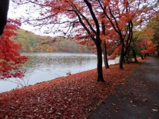 「栃木の山ちゃん」さんからの投稿写真