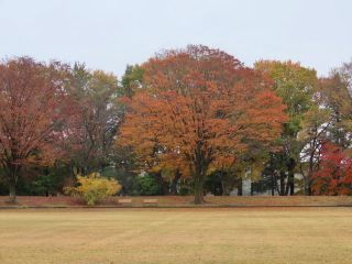 「栃木の山ちゃん」さんからの投稿写真