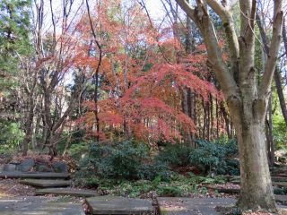 「栃木の山ちゃん」さんからの投稿写真