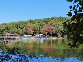 「栃木の山ちゃん」さんからの投稿写真