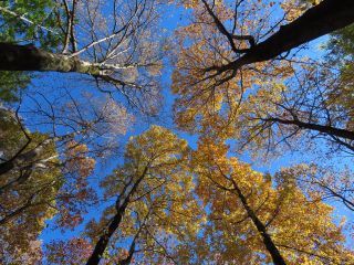 「栃木の山ちゃん」さんからの投稿写真