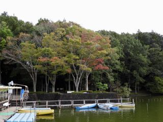 「栃木の山ちゃん」さんからの投稿写真