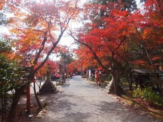 「Junko」さんからの投稿写真＠大原野神社