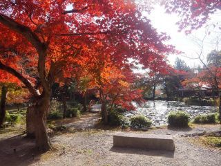 「Junko」さんからの投稿写真＠大原野神社