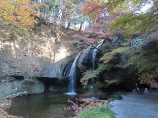 「栃木の山ちゃん」さんからの投稿写真