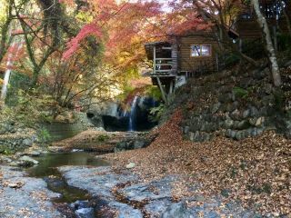 「栃木の山ちゃん」さんからの投稿写真