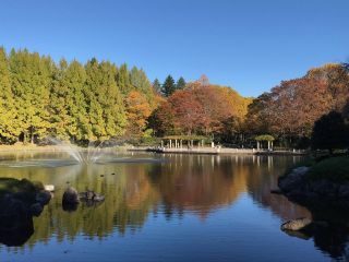 「栃木の山ちゃん」さんからの投稿写真