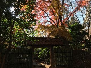 「栃木の山ちゃん」さんからの投稿写真