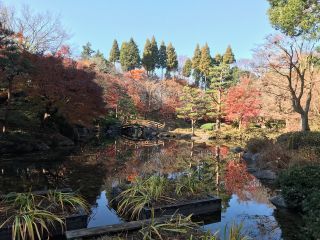 「栃木の山ちゃん」さんからの投稿写真