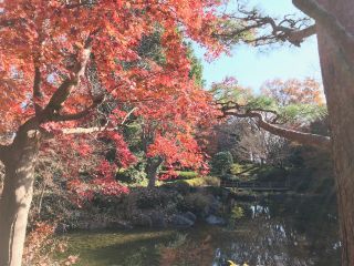 「栃木の山ちゃん」さんからの投稿写真