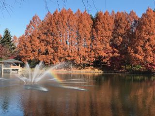 「栃木の山ちゃん」さんからの投稿写真