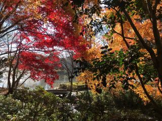 「栃木の山ちゃん」さんからの投稿写真