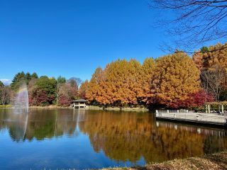 「栃木の山ちゃん」さんからの投稿写真