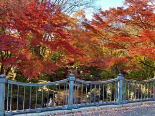 「栃木の山ちゃん」さんからの投稿写真