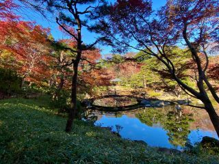 「栃木の山ちゃん」さんからの投稿写真