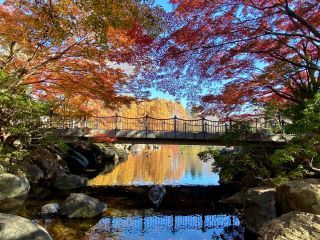 「栃木の山ちゃん」さんからの投稿写真