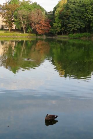 「栃木の山ちゃん」さんからの投稿写真