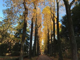 「栃木の山ちゃん」さんからの投稿写真