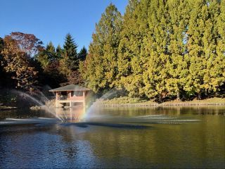 「栃木の山ちゃん」さんからの投稿写真