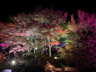 「さとちゃん」さんからの投稿写真＠耶馬溪ダム記念公園「溪石園」