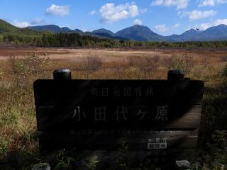 「栃木の山ちゃん」さんからの投稿写真