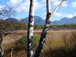 「栃木の山ちゃん」さんからの投稿写真