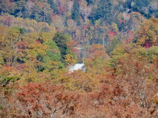 「栃木の山ちゃん」さんからの投稿写真