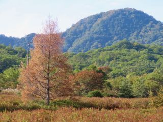 「栃木のやまちゃん」さんからの投稿写真