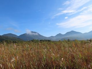 「栃木のやまちゃん」さんからの投稿写真