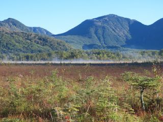 「栃木の山ちゃん」さんからの投稿写真