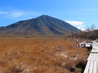 「栃木の山ちゃん」さんからの投稿写真