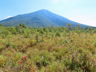 「栃木の山ちゃん」さんからの投稿写真＠戦場ヶ原