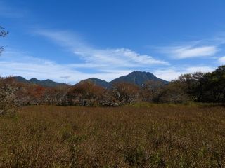 「栃木の山ちゃん」さんからの投稿写真＠戦場ヶ原