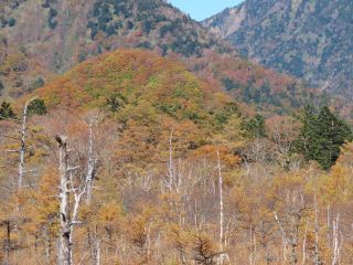 「栃木の山ちゃん」さんからの投稿写真