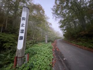 「栃木の山ちゃん」さんからの投稿写真