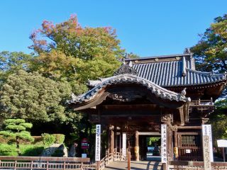 「栃木の山ちゃん」さんからの投稿写真＠大日苑（鑁阿寺）