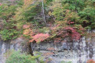 「栃木の山ちゃん」さんからの投稿写真