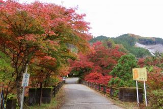 「栃木の山ちゃん」さんからの投稿写真