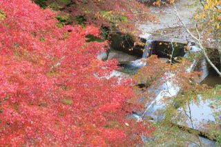 「栃木の山ちゃん」さんからの投稿写真