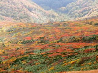 「Autumn leaves hunter2024」さんからの投稿写真＠栗駒山（いわかがみ平）