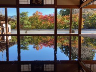 「栃木の山ちゃん」さんからの投稿写真