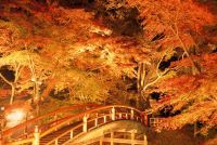 伊香保温泉 湯元「河鹿橋」の写真