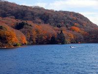 箱根 芦ノ湖周辺の紅葉が今シーズンのピークに（2017年11月7日時点）
