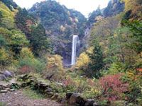 平湯大滝の写真