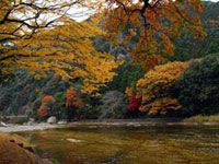 鳳来峡の写真